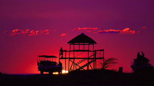 sunset-safari